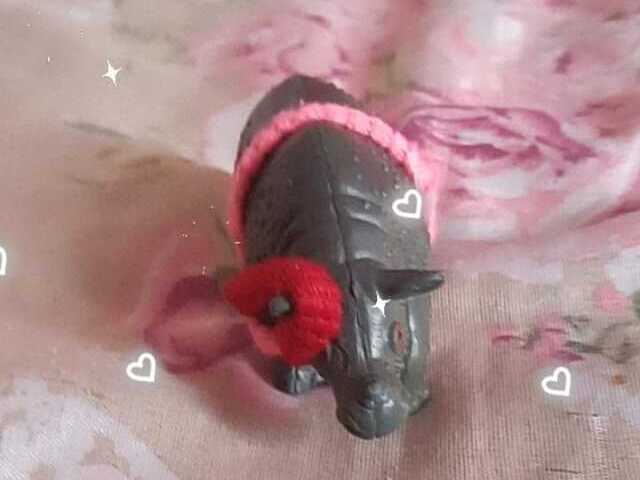 Coração 💖