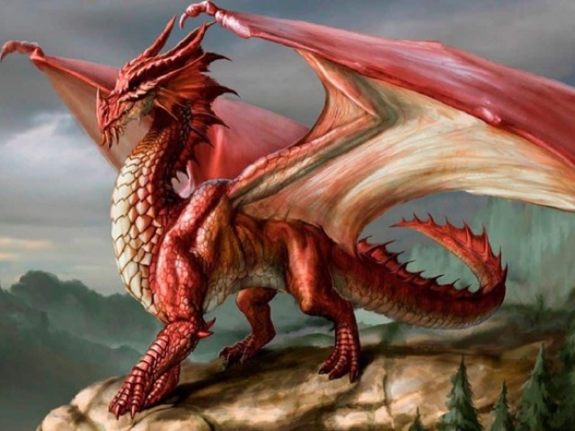 Qual Dragão você seria?
