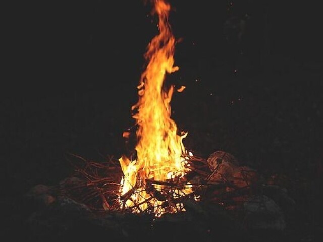 Cortaria galhos e madeira Com meu machado e faria uma foguera para passar a noite lendo um livro na floresta.