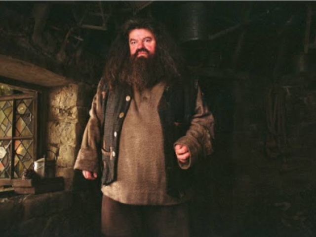 Hagrid, ele é engraçado e conhece todas as criaturas que existem