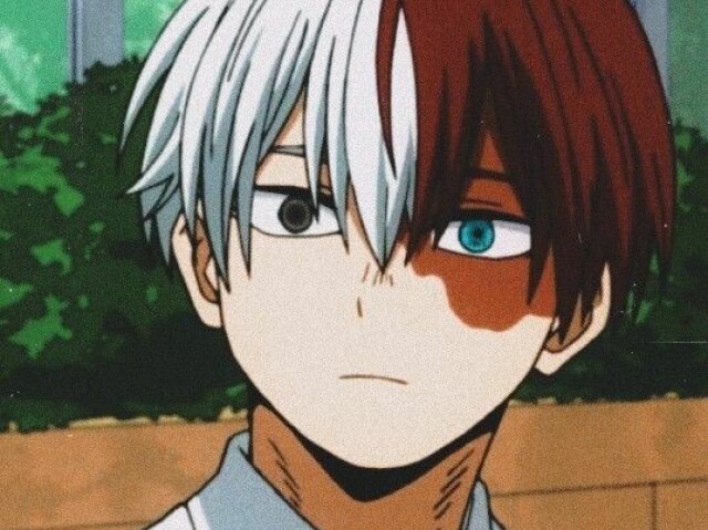 Todoroki