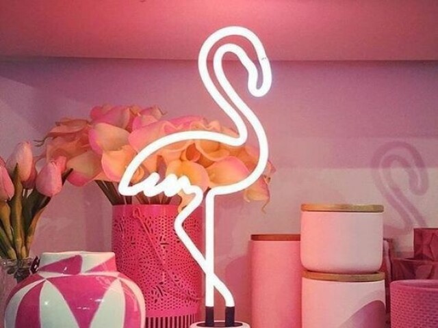 Flamingo😊