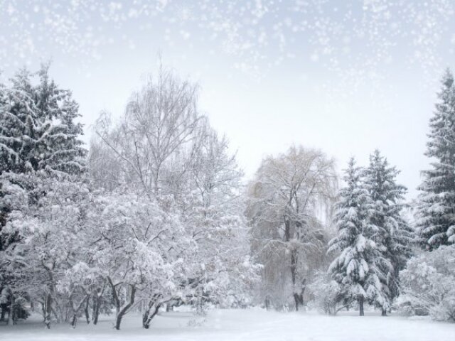 Neve caindo e acumulando-se