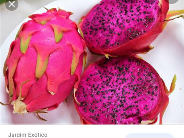 Pitaya