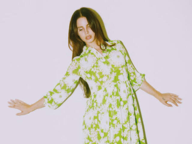 Lana Del Rey - In My Feelings