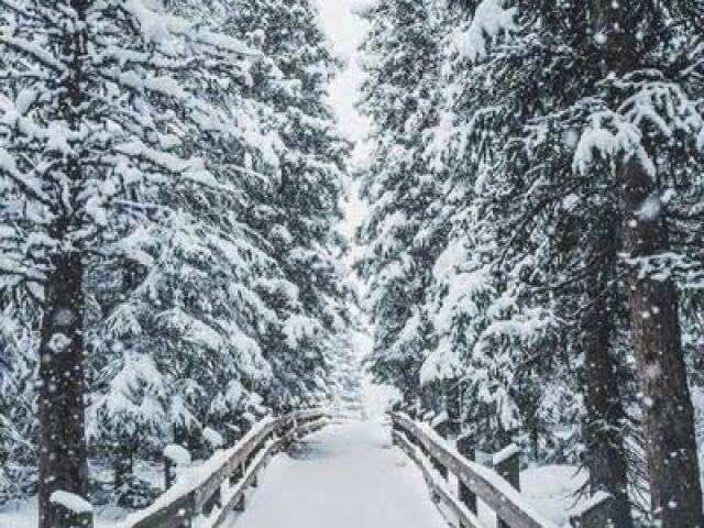Inverno