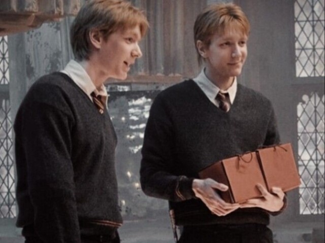 Os Weasley, óbvio