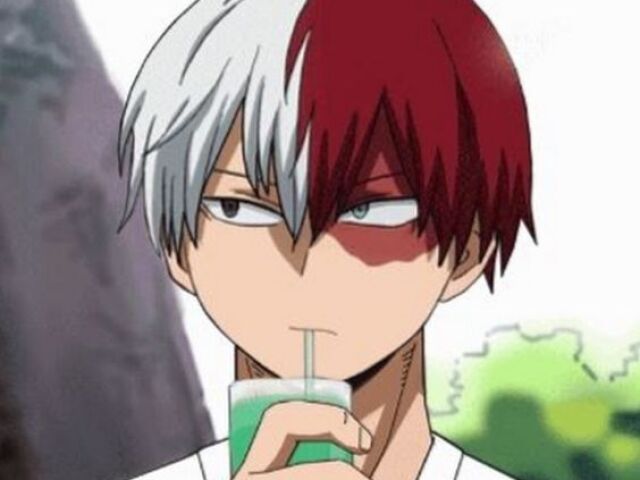 Todoroki
meu tudo