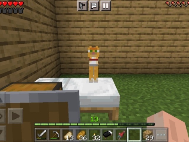 Minecraft