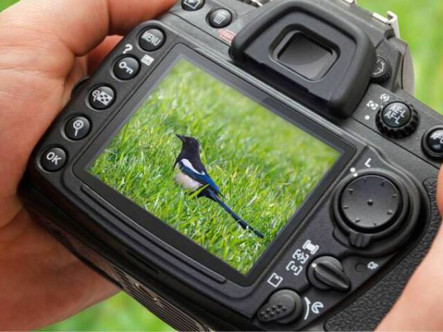 A pessoa que estava com você tirou suas fotos.