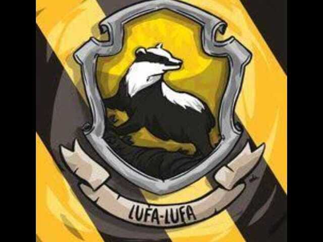 Parabéns você é da Lufa-Lufa 🦡