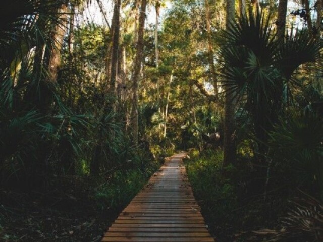 Passeio sem rumo