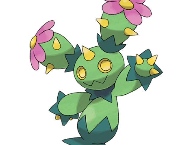 Maractus