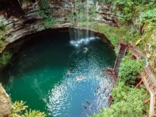 floresta paraíso