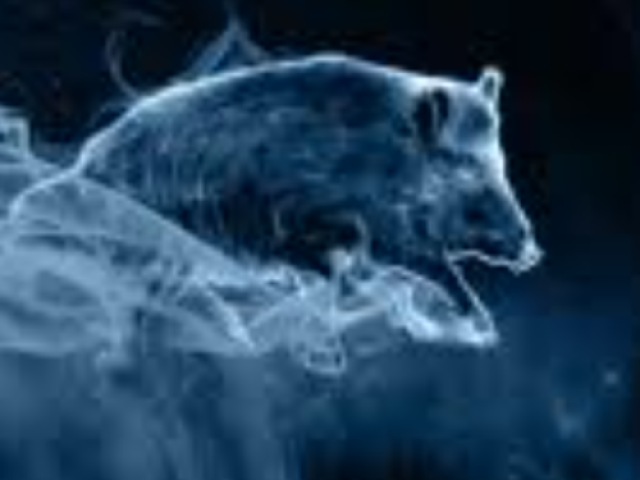 Porco