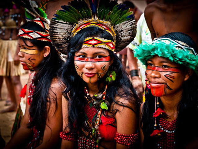 vieram primeiro no trabalho escravo os indigenas