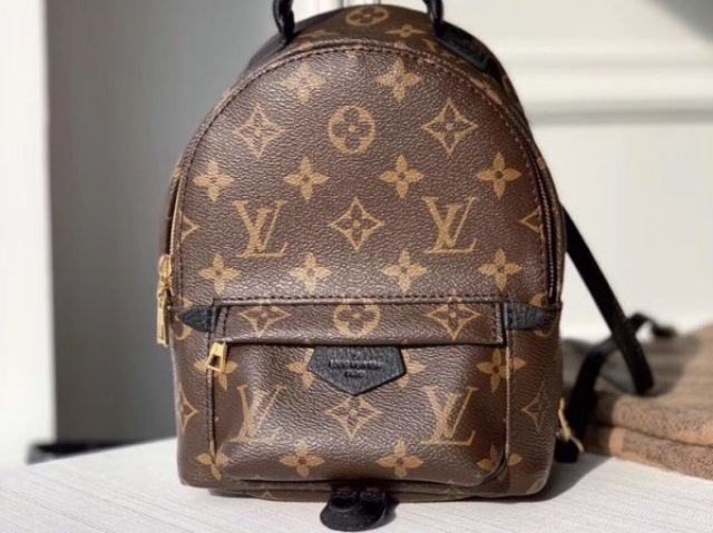 louis vuitton ✨