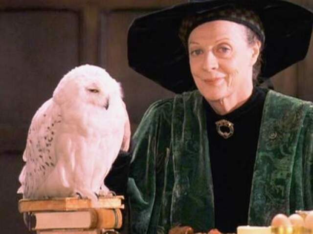 MINERVA MCGONAGALL
PROFESSORA DE TRANSFIGURÃO