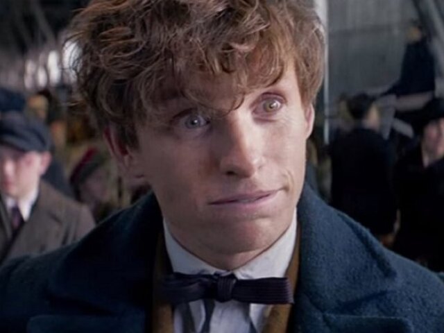 NEWT SCAMANDER