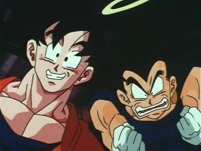 Vegeta e Goku