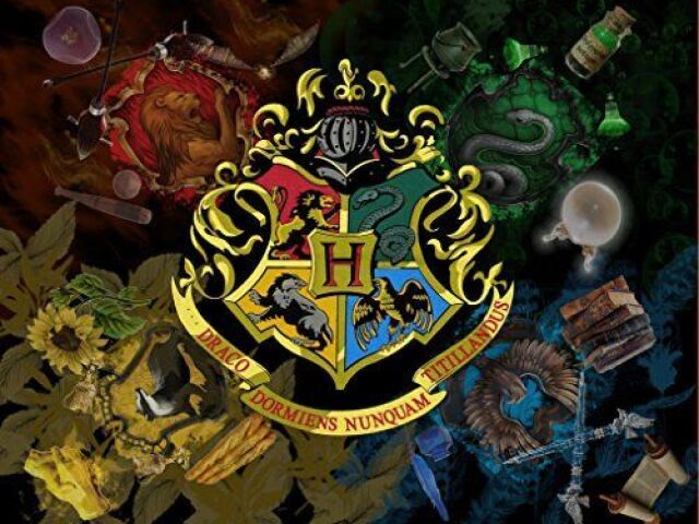 Qual a sua casa de Hogwarts?