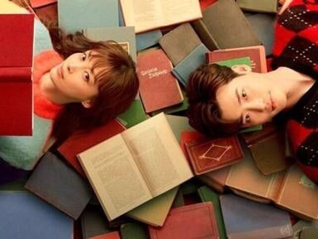 Romance is a Bonus book