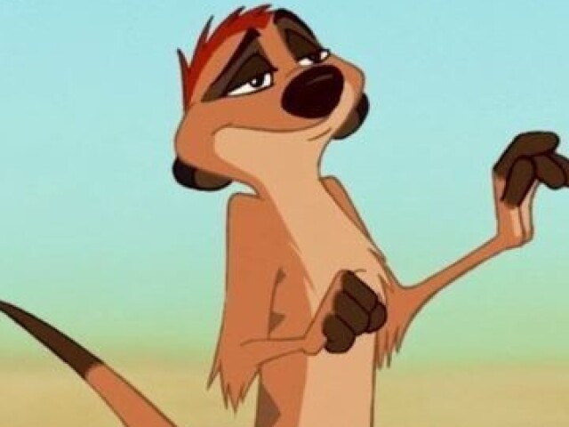 Timon