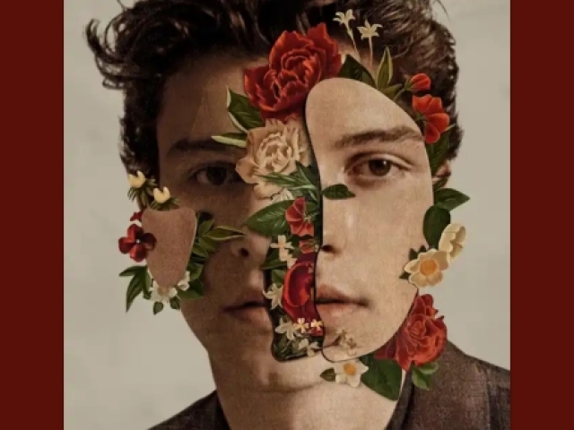 Shawn Mendes - in my blood