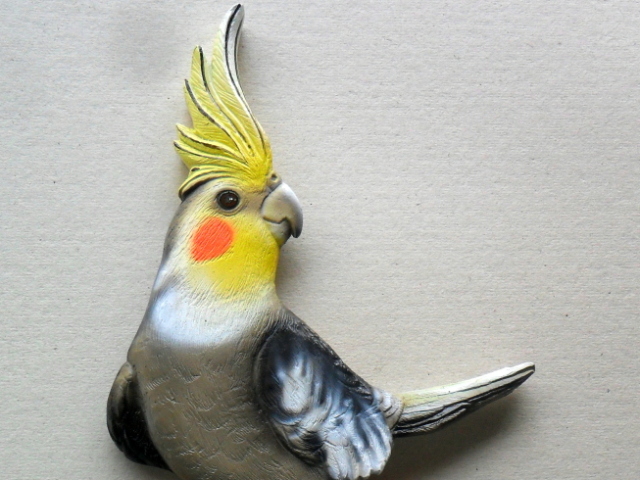 Quiz de Aves Para Testar Sua Mente