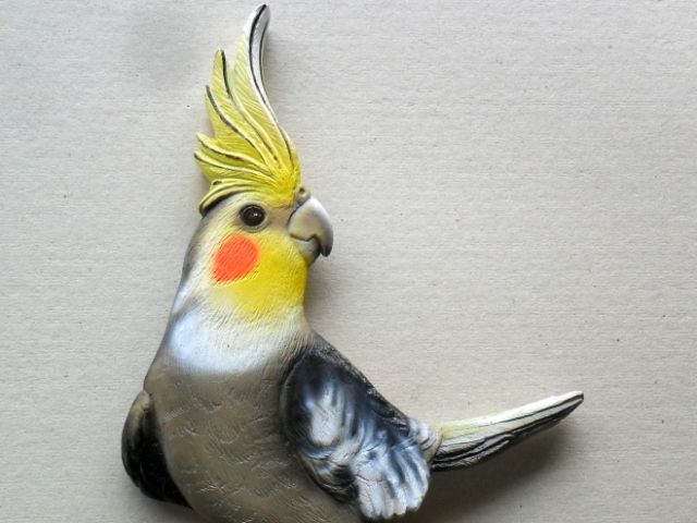 Você Não Conhece Muito De Aves Pelo Visto! Mas Mesmo Assim Parabéns!