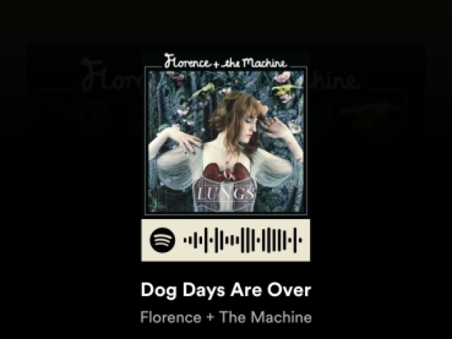 Dog days are over