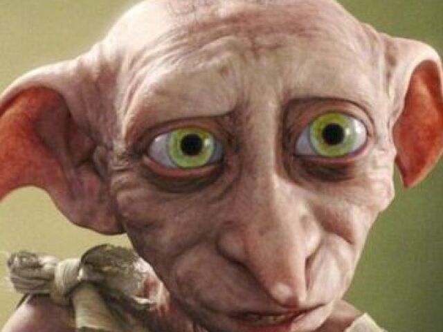 DOBBY