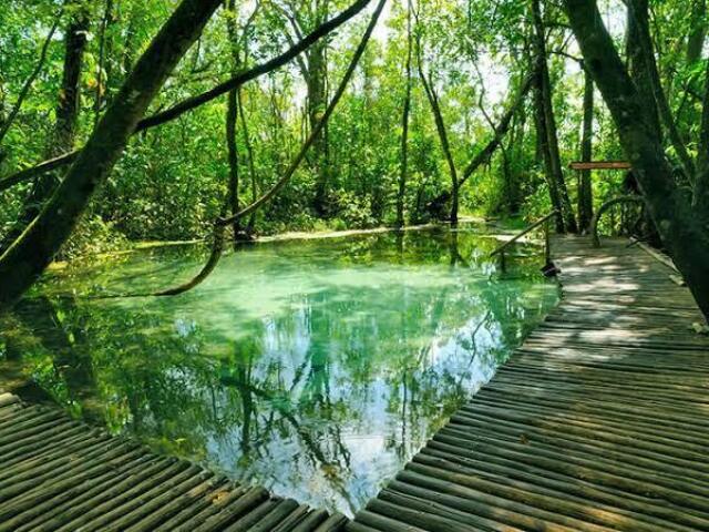 Num lugar distante que tenha natureza