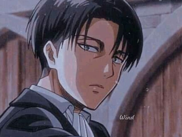 Levi