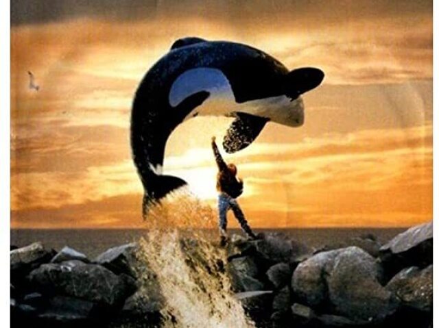 Free Willy