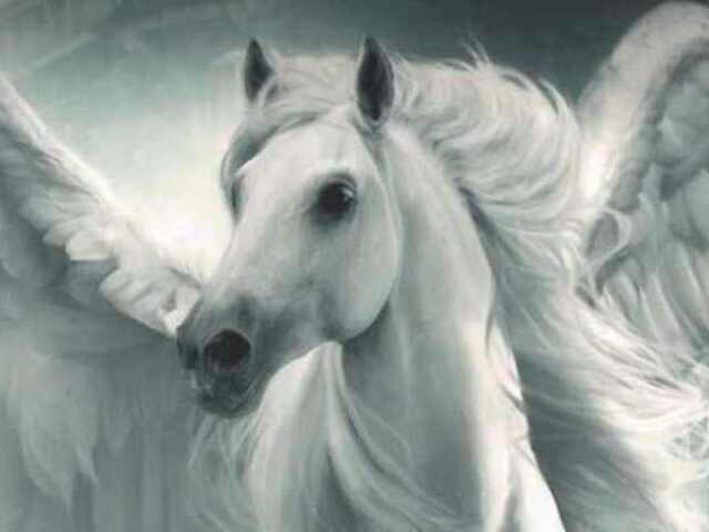 Pegaso