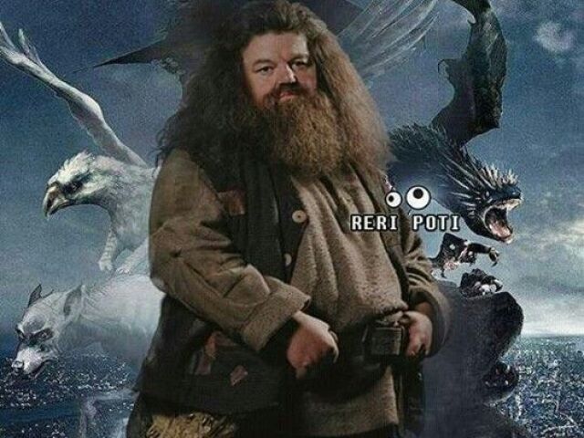 Rubeo Hagrid