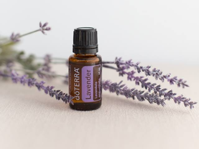 Lavanda