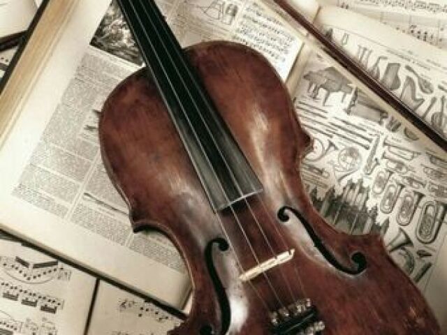 Violino