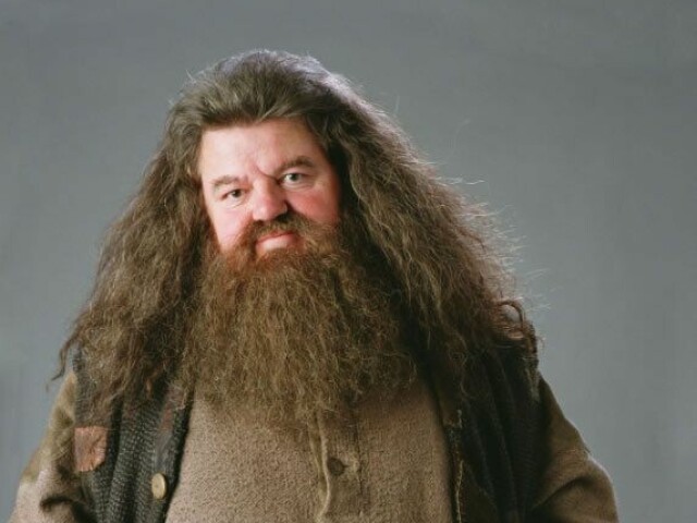 Hagrid