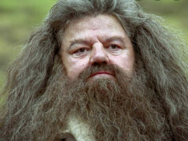 Hagrid