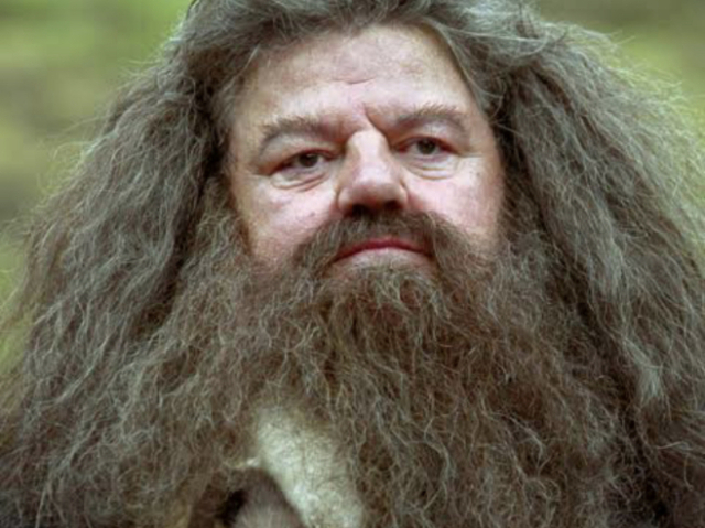 Hagrid