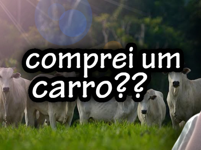 comprei um carro??