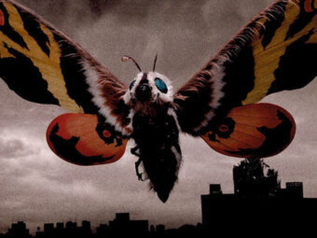 Mothra