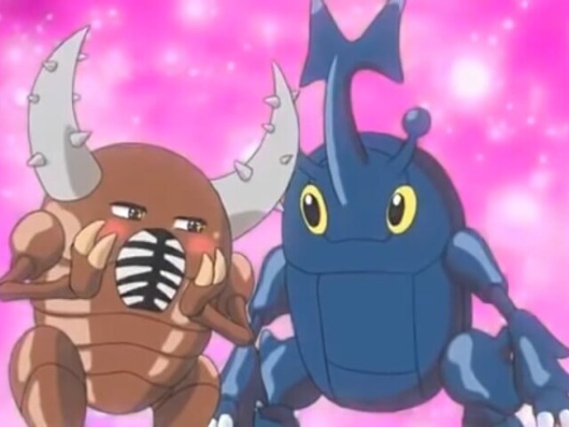 Pinsir x Heracross