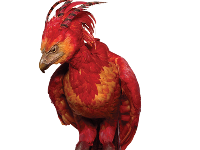 Fénix