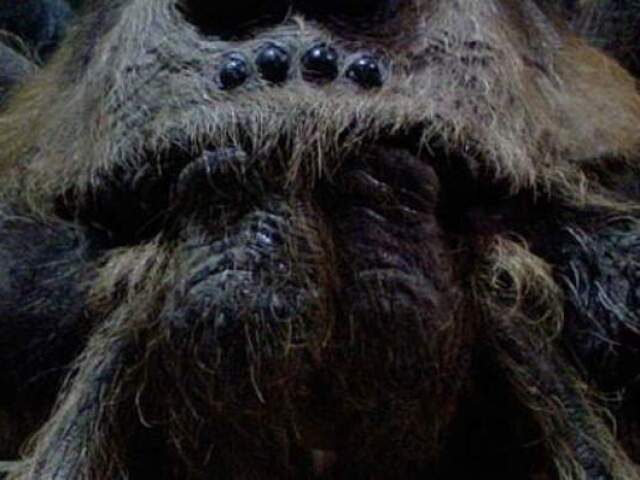 Aranha