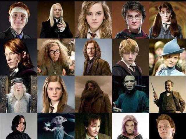 Quem você seria em Harry Potter?