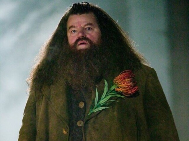 Professor Hagrid