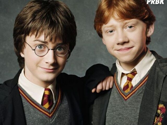 Harry e Rony (≧∇≦)/